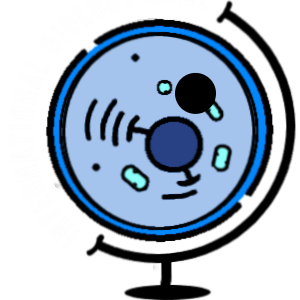 Biology Bowl
